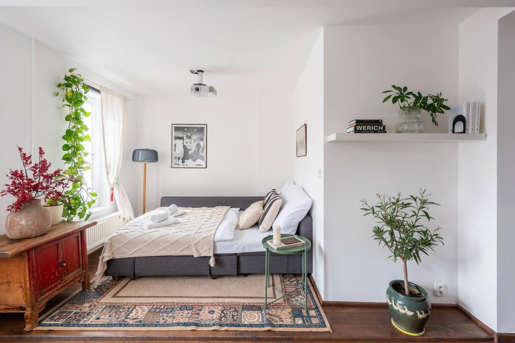 Apartmán Charming In Vrsovice With Roof Terrace Praha